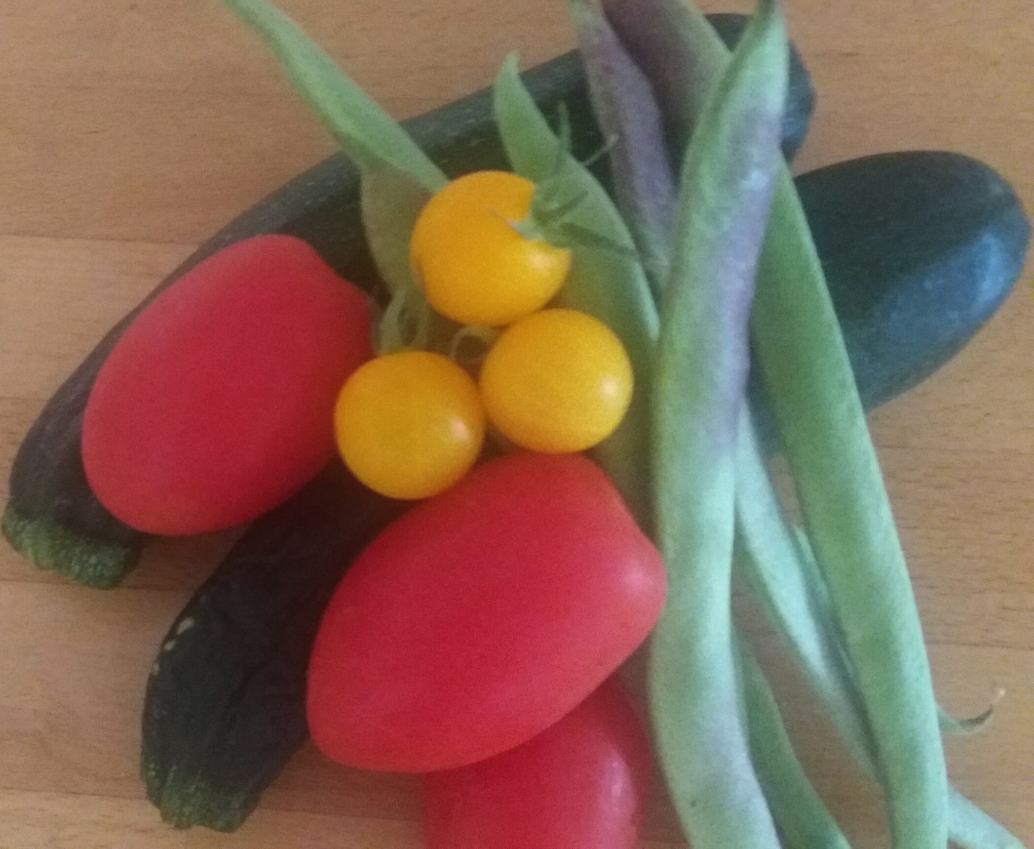 Diets in Detail The Specific Carbohydrate Diet. Nutritionhelp